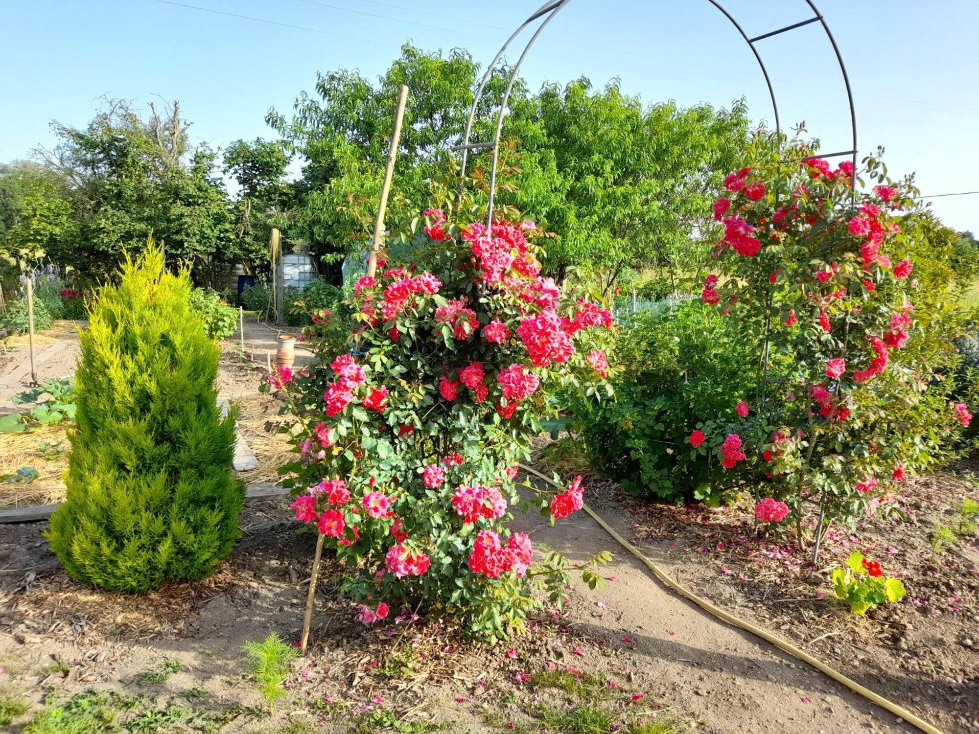 Bed and Breakfast Les Abelias Hauterive  Zewnętrze zdjęcie